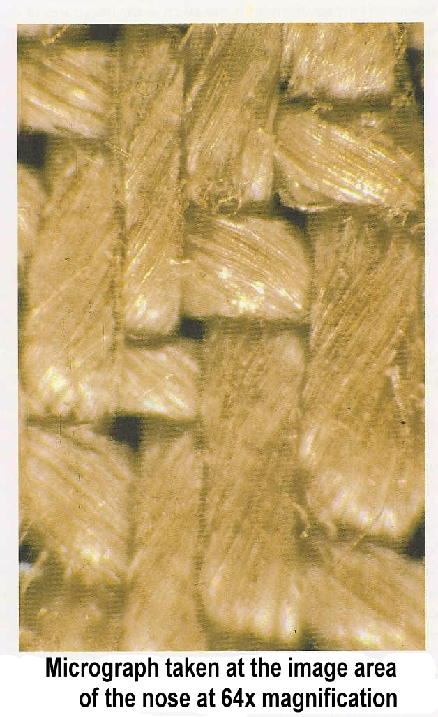 64x image of the nose area.