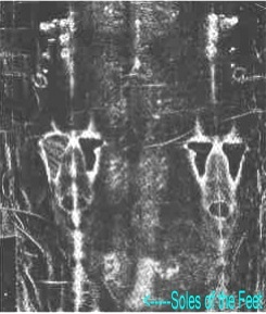 feet2.jpg - 37486 Bytes