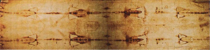 full shroud natural color - 42563 Bytes